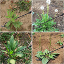 ErgoClaw 4-Tine Precision Weeder