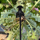 ErgoClaw 4-Tine Precision Weeder