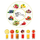 Heavy duty manual fruit juicer
