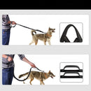 Hands-Free Dog Leash and Utility Pouch