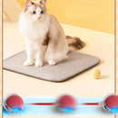 Interactive Pet Toy Ball