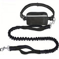 Hands-Free Dog Leash and Utility Pouch