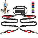 Hands-Free Dog Leash and Utility Pouch