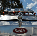 Angry Rubber Duck Hood Ornament