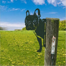 Farm Peeping Animal Metal Art