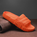 Veyne Orthopedic Slides